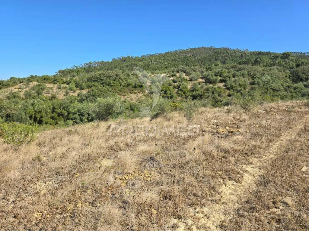 Jardin - Rustic Land with Approved Project in Mafra