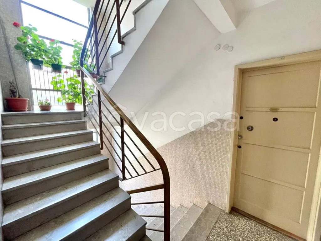 Toad - Bright Triplex with Sea View in Trieste