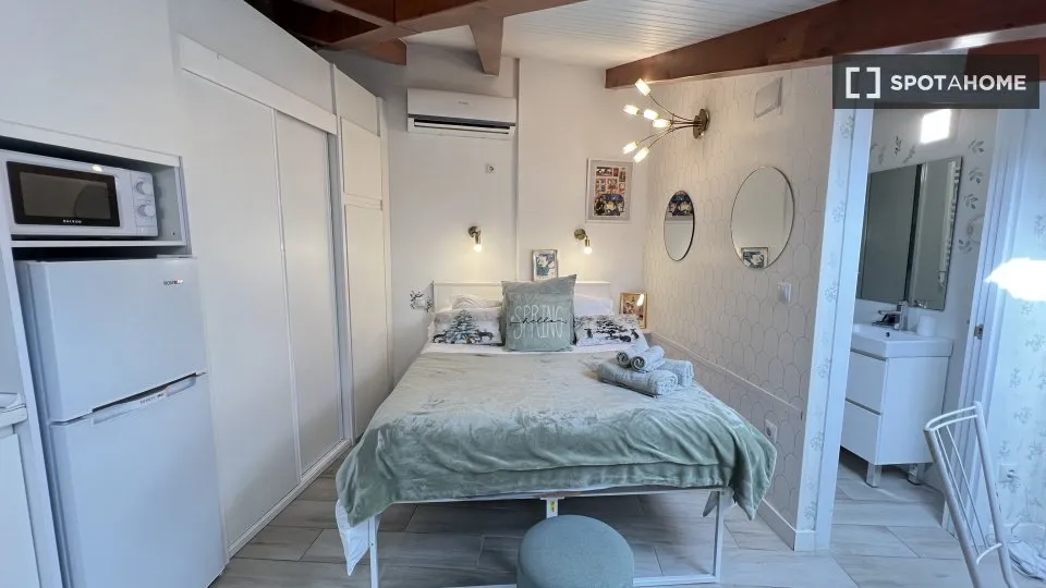 Chambres - Furnished Studio in Universidad, Madrid