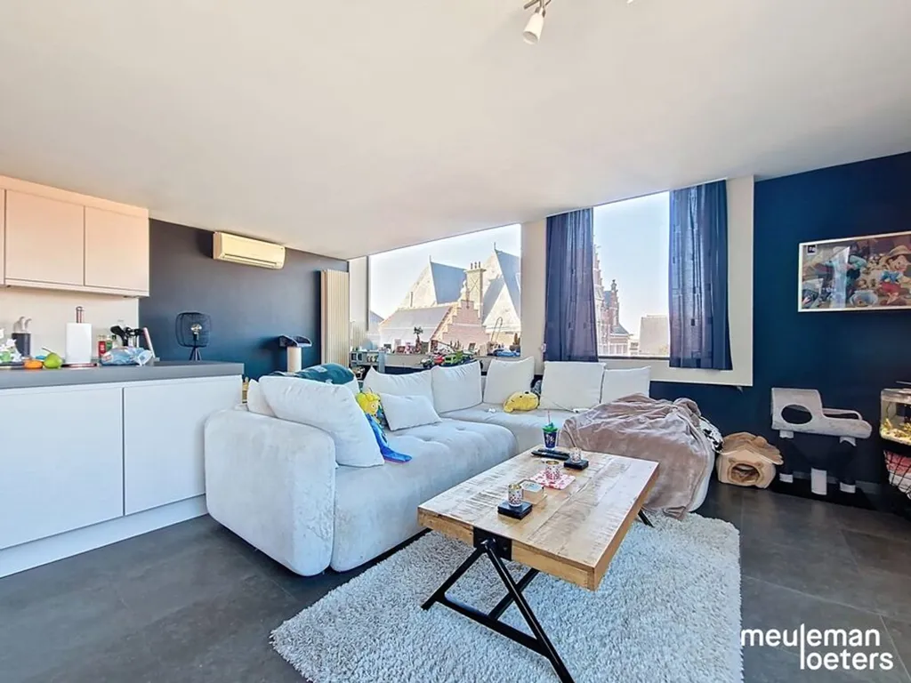 Séjour - Duplex Lumineux avec Terrasse au Centre-Ville