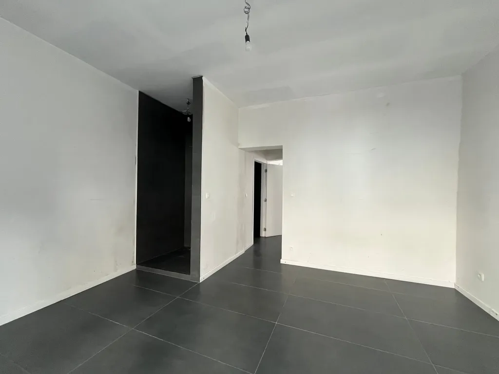 Toad - Fully Renovated Investment Property in Nice