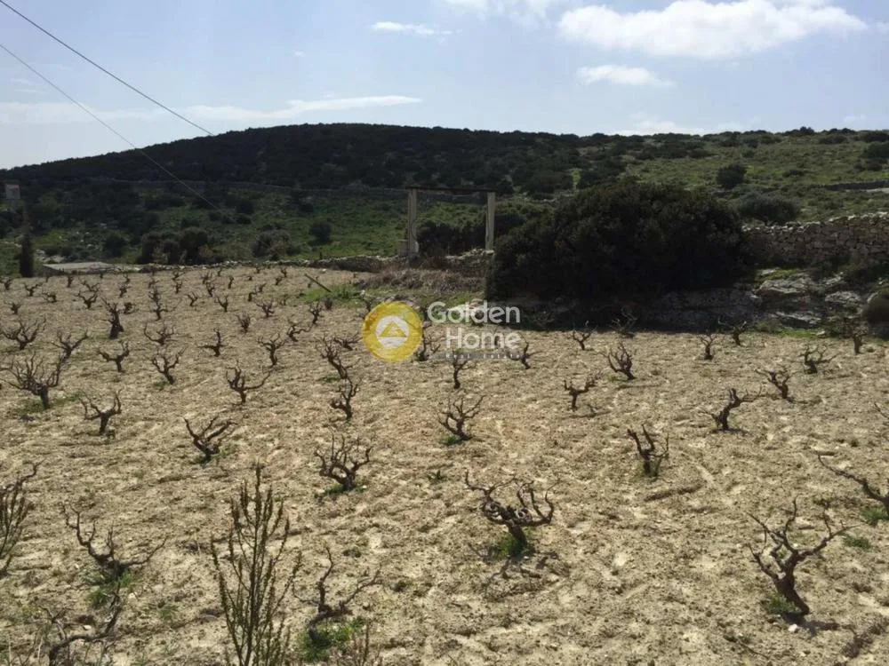 Aed - Plot with Unrestricted View in Syros - Piskopi