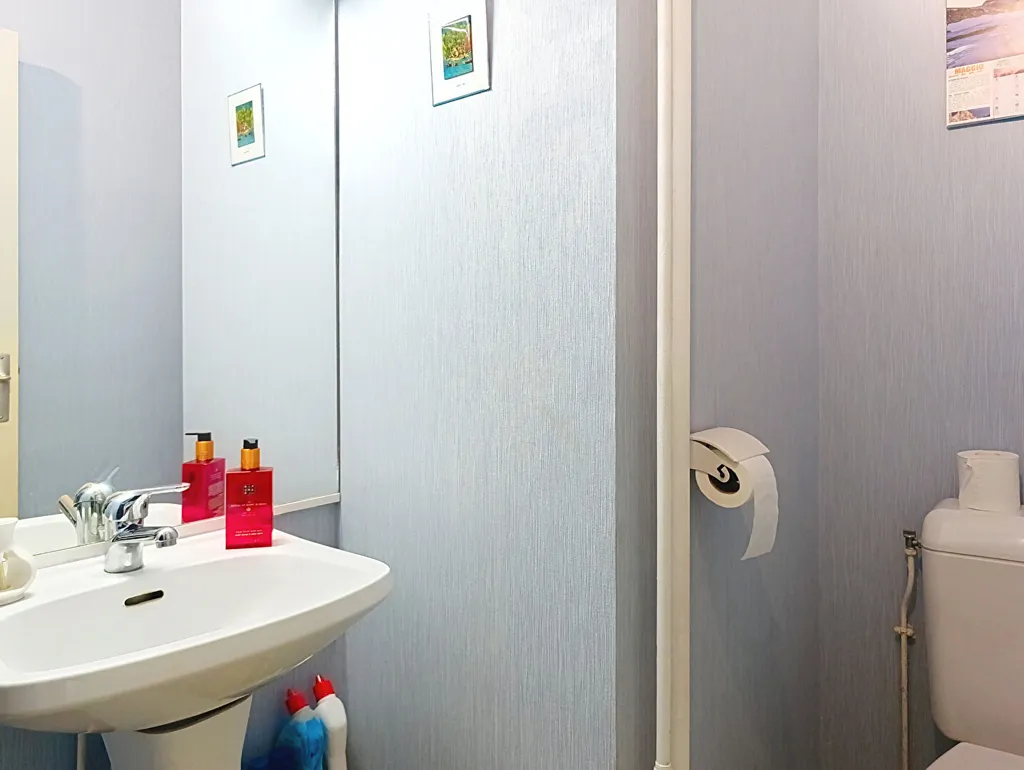 Salles de bain - Appartement 5 pièces avec vue parc à Saint-Étienne