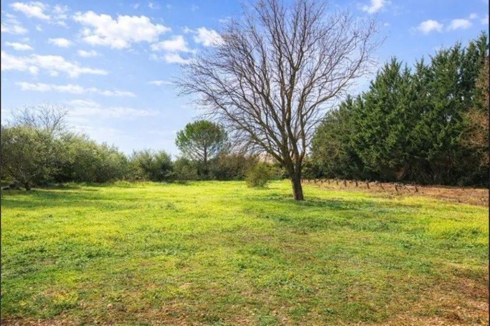 Giardino - New House with Garden in Tavernes