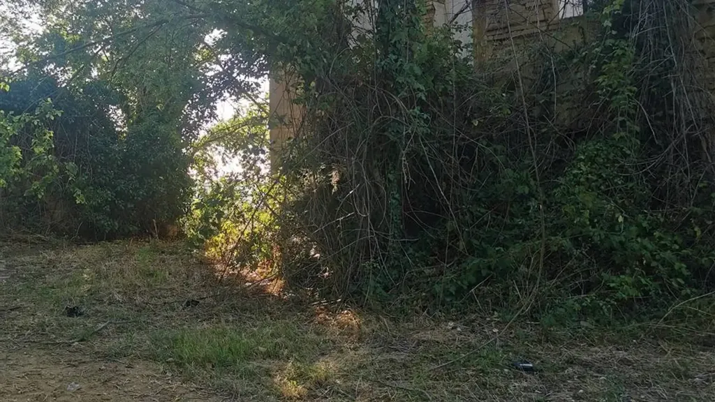 Jardin - Rustic Farmhouse with Sea View in Civitanova Alta