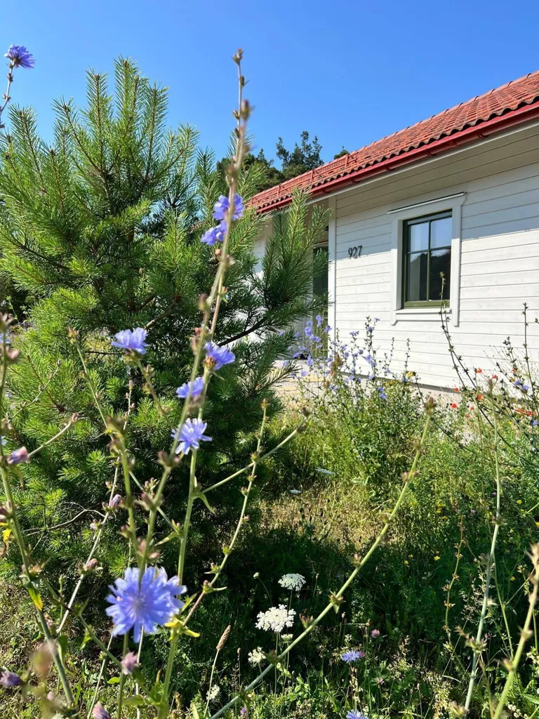 Esterno - Villa with Pool and Sea View in Östergarn