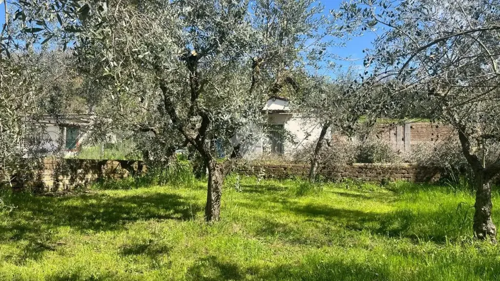 Giardino - Rustic Property with Private Garden in Gallicano Nel Lazio