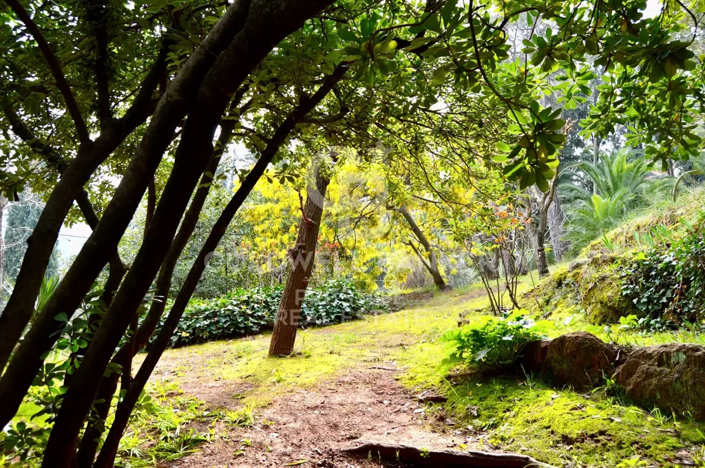 Giardino - Luxury Farmhouse with Pool in Castellví de Rosanes
