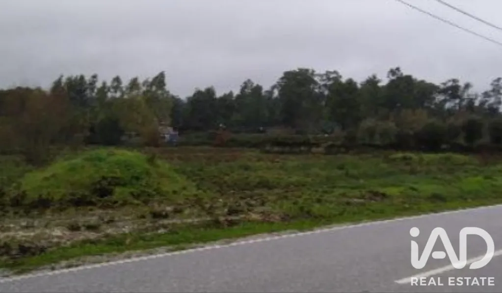 Garden - Rural Land with Expansion Potential in Tondela