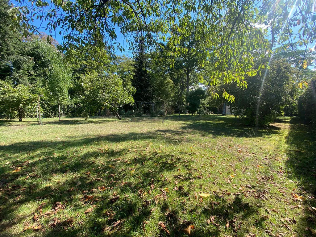 Terrain Arboré Constructible à Olivet