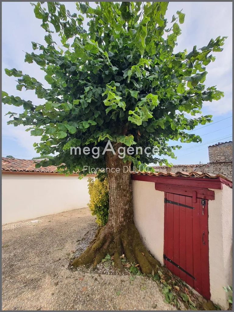 Giardino - Renovated Charentaise with Dependencies in Saint-Savinien