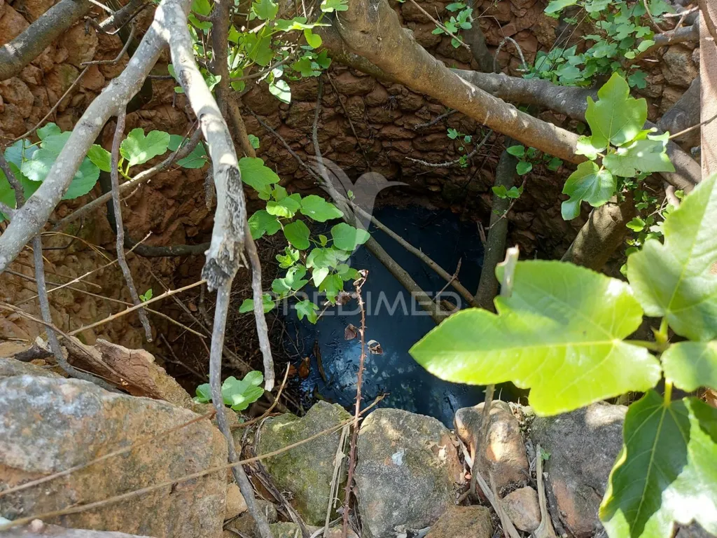 Garden - Agricultural Land with Water Source in Silves