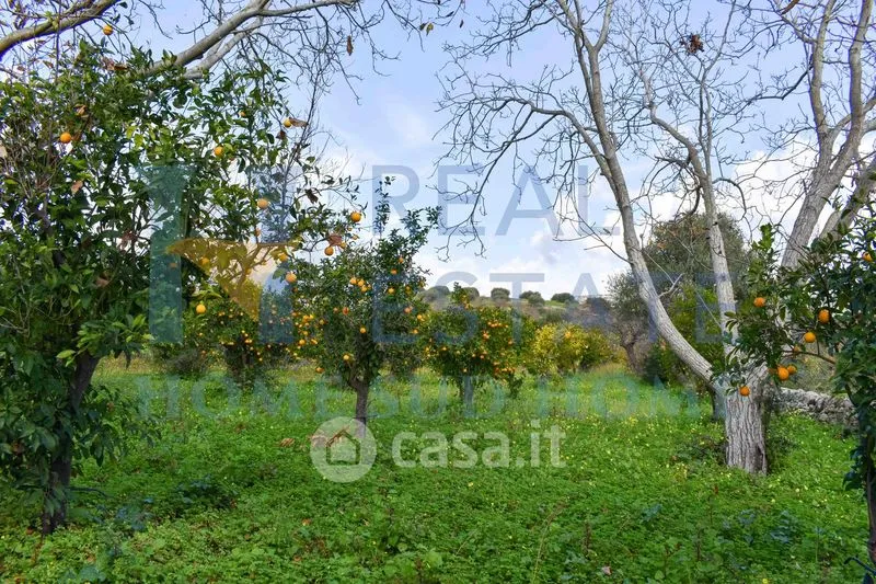 Jardin - Rustic Casale with Panoramic Views near Noto