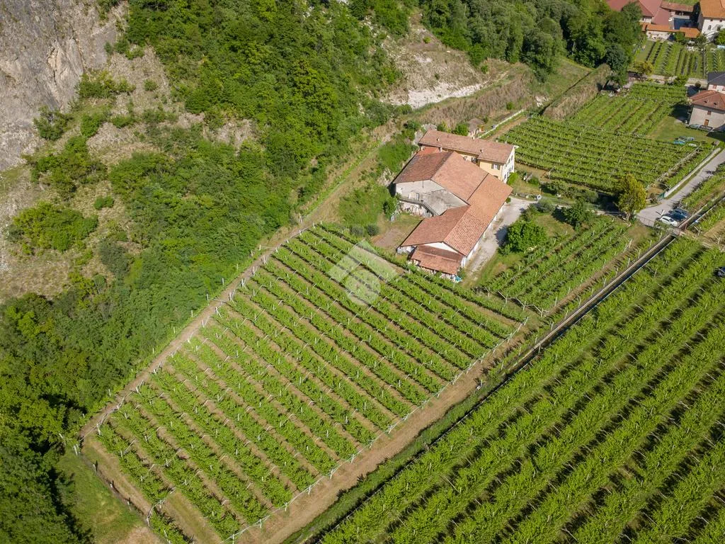 Aerial - Historic Maso with Vineyard in Mezzocorona