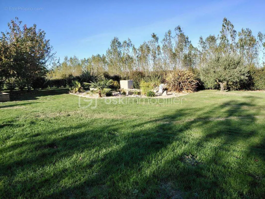 Jardin - Maison Familiale avec Grand Terrain à Caudecoste