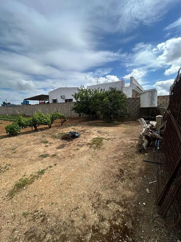 Jardin - Chiclanan Chalet Plot with Pool on La Playa Road