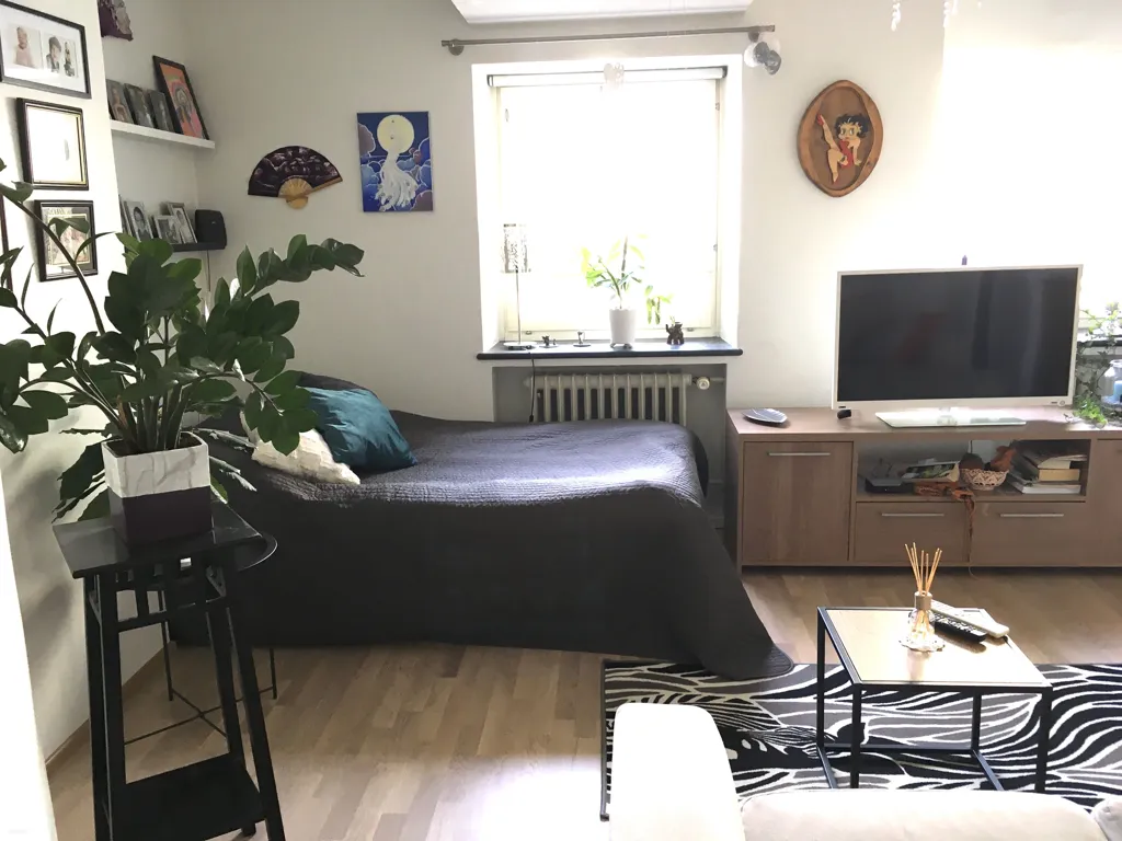 Séjour - Modernised Studio Flat in Tampere City Centre