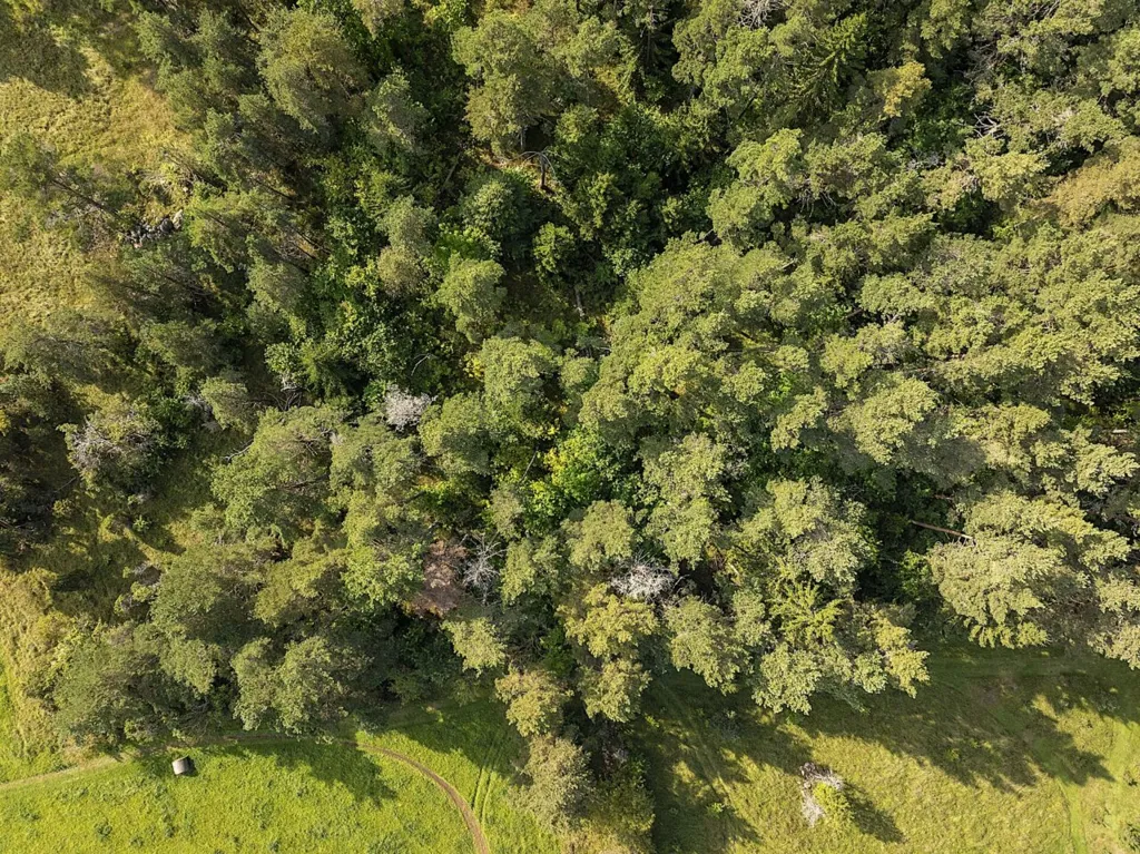 Vue aérienne - Plot with Potential for Cottage in Meiuste