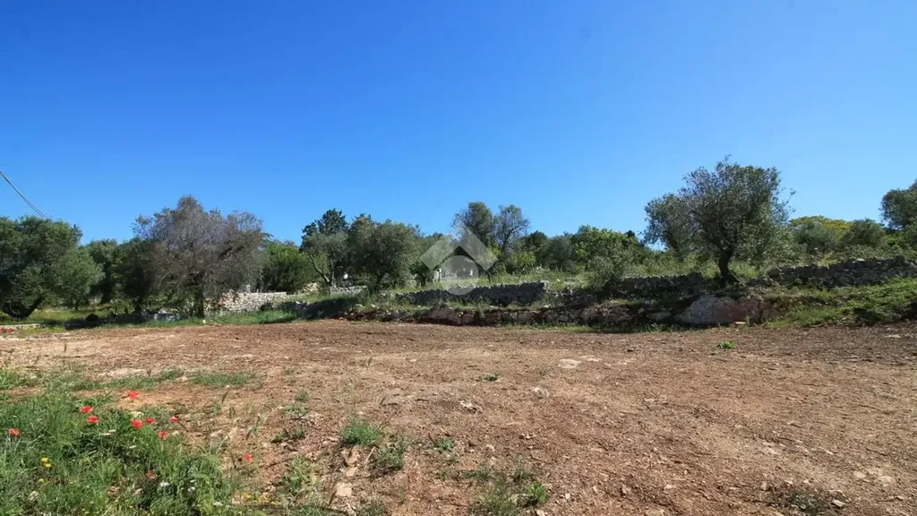 Aed - Rustic Trullo with Panoramic View in Ostuni