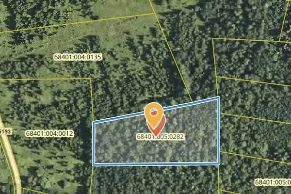 Forest Land for Sale in Järvamaa