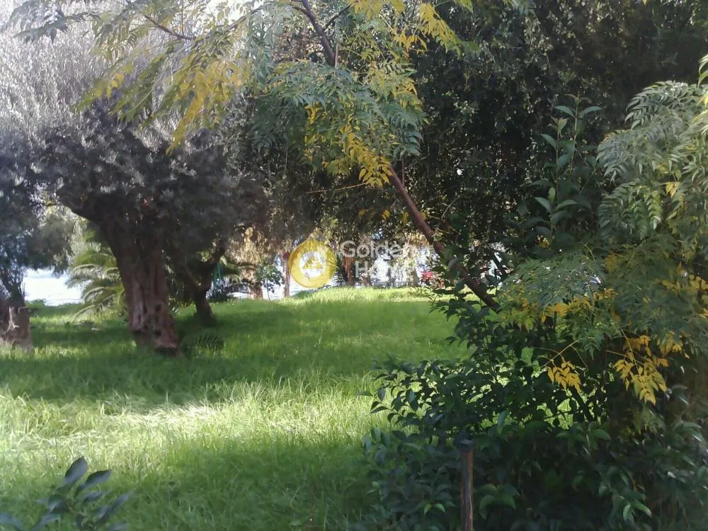 Jardin - Seaside Plot with Sea View in Patras Suburb