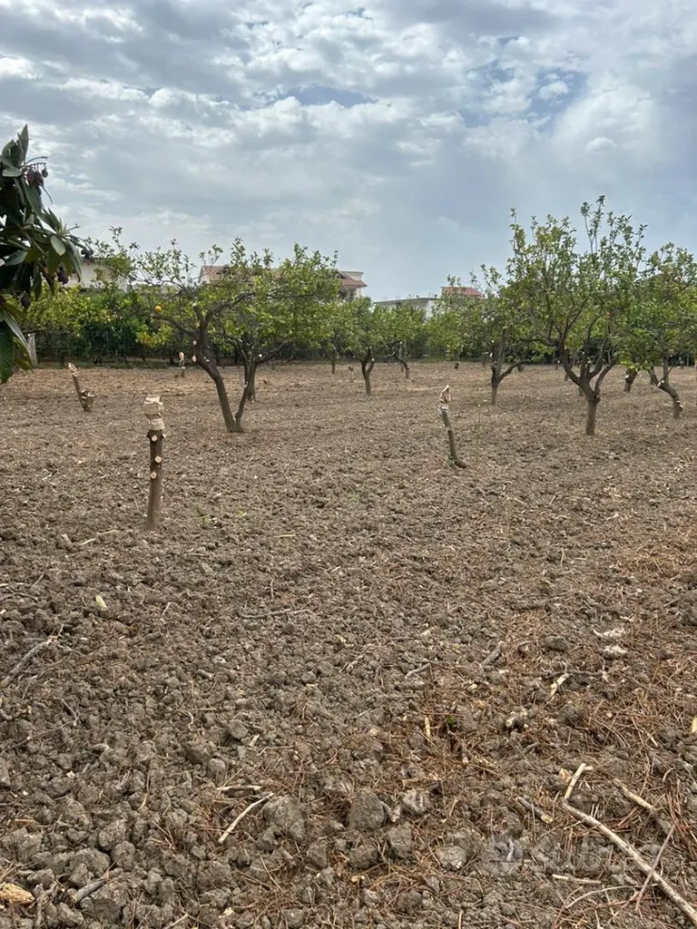 Jardin - Buildable Land with Irrigation in San Carlo
