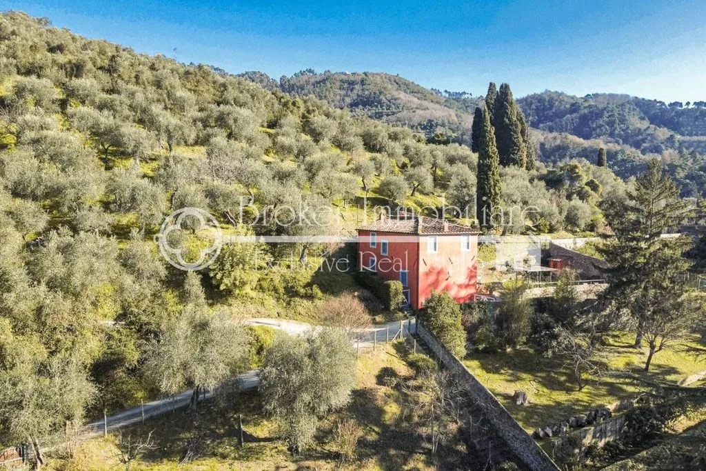 Aerial - Rustic Villa with Olive Grove in Massarosa