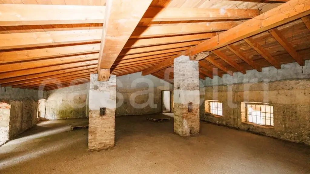Toad - Historic Villa for Renovation in Stezzano