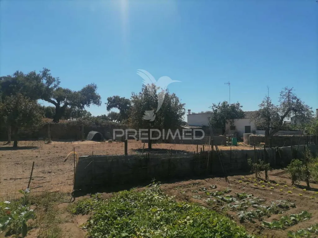 Jardin - Land Plot in Alagoa Centre
