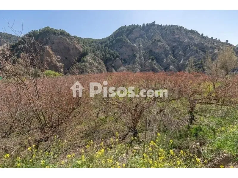 Rustic Finca with Mountain View in Cónchar
