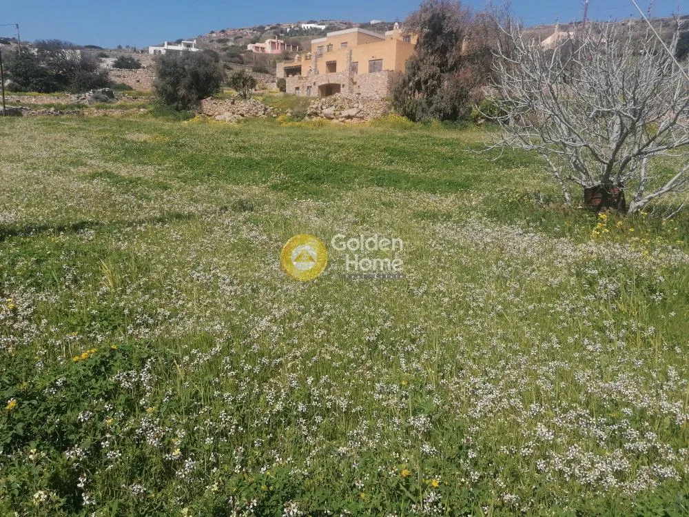 Aed - Plot with Unrestricted View in Syros - Piskopi