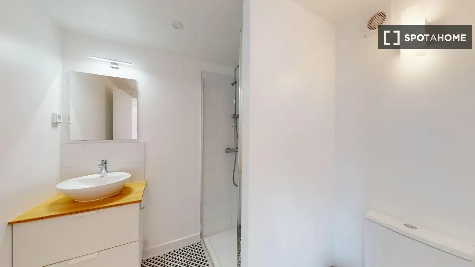 Vannitoad - Room in Shared Flat, Plateau-Monmousseau, Paris