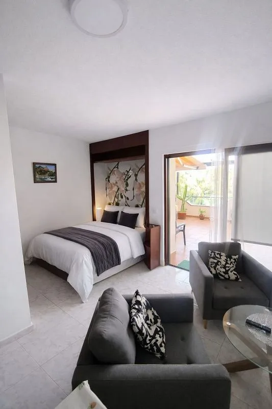 Magamistoad - Renovated Studio with Terrace in La Paz