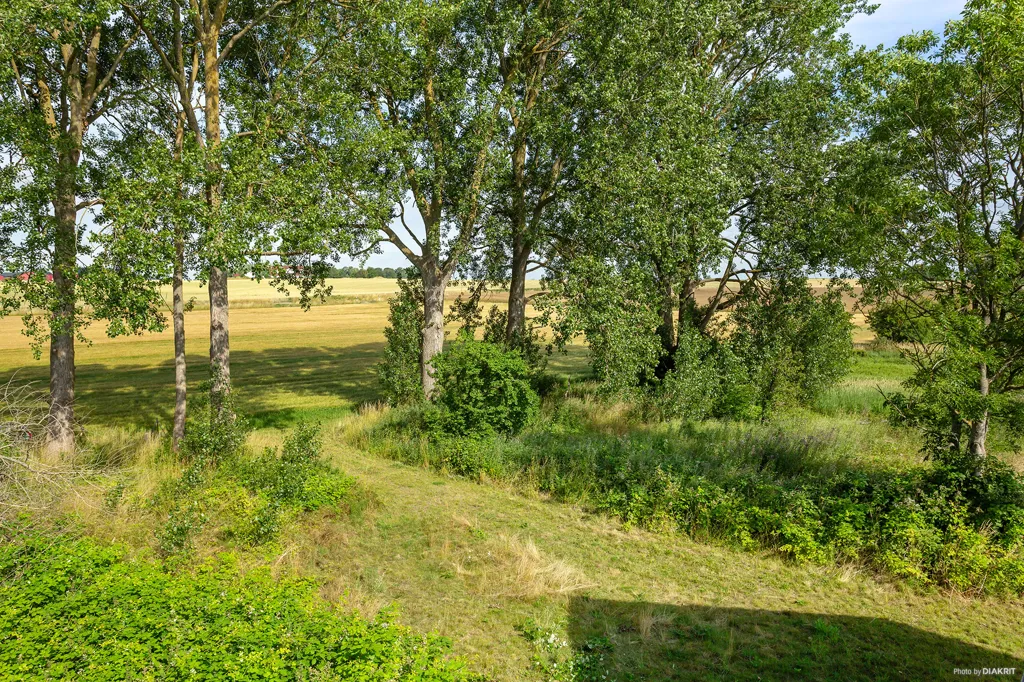 Aed - Large Natural Plot with Farmhouse in Simrishamn