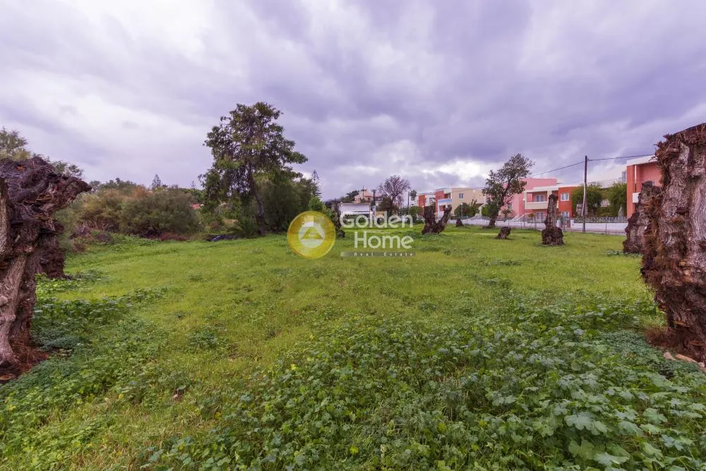 Jardin - Commercial Plot with Sea View in Agia Marina, Chania