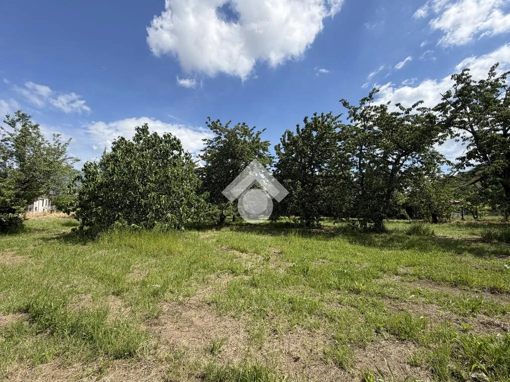 Jardin - Agricultural Land with Cherry Trees in Cervinara