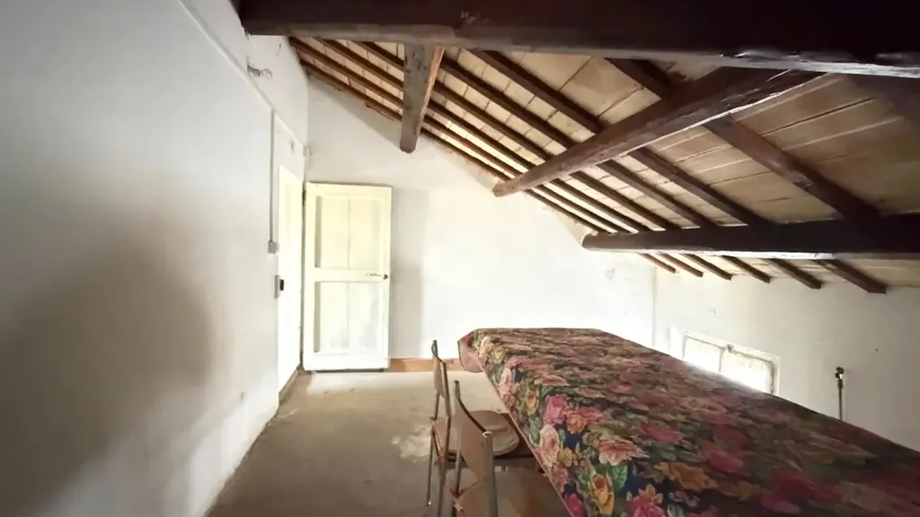 Toad - Corner Semi-Detached Villa with Private Garden in Pesaro