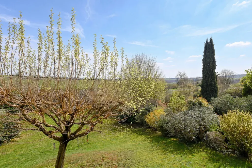 Jardin - Maison Luxueuse avec Vue Campagne à Belmont-d'Azergues