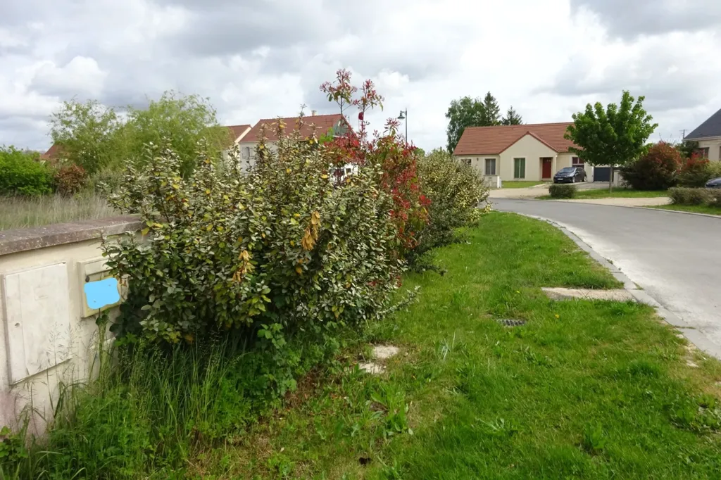 Giardino - Buildable Plot with Viability in La Genevraye