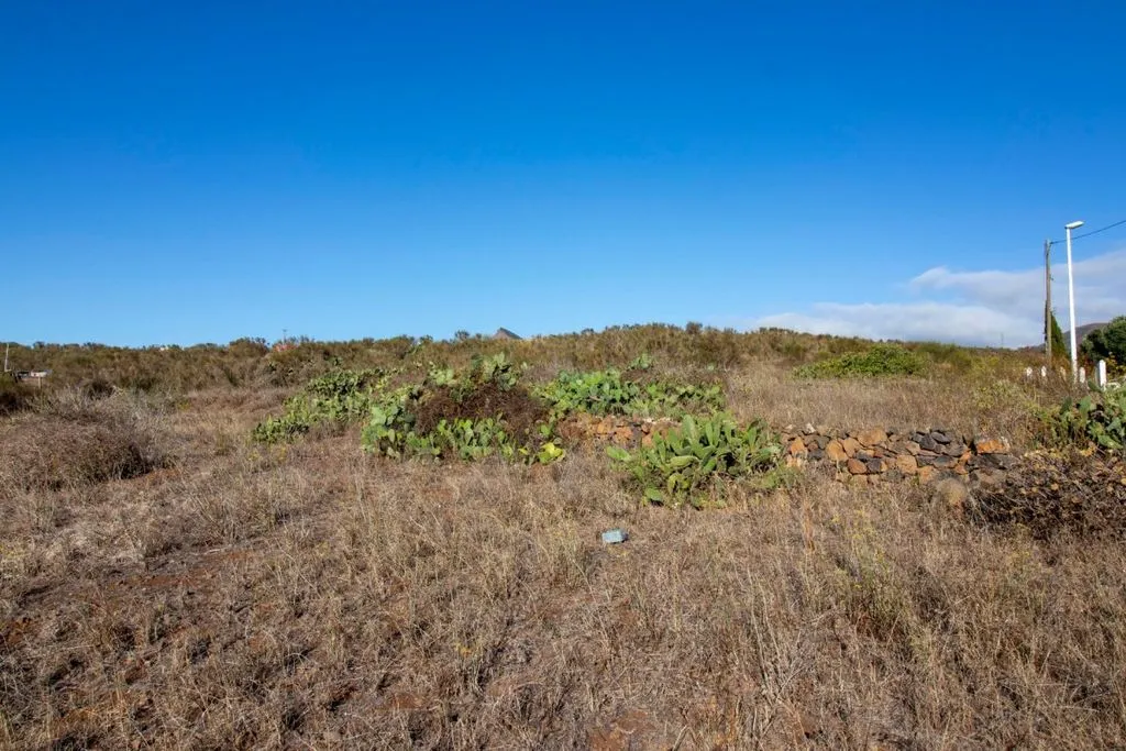 Garden - Building Land with Chalet Potential in El Rosario