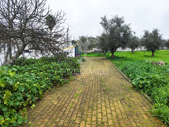Jardin - Remodelled Quinta with Olive Grove in Avis