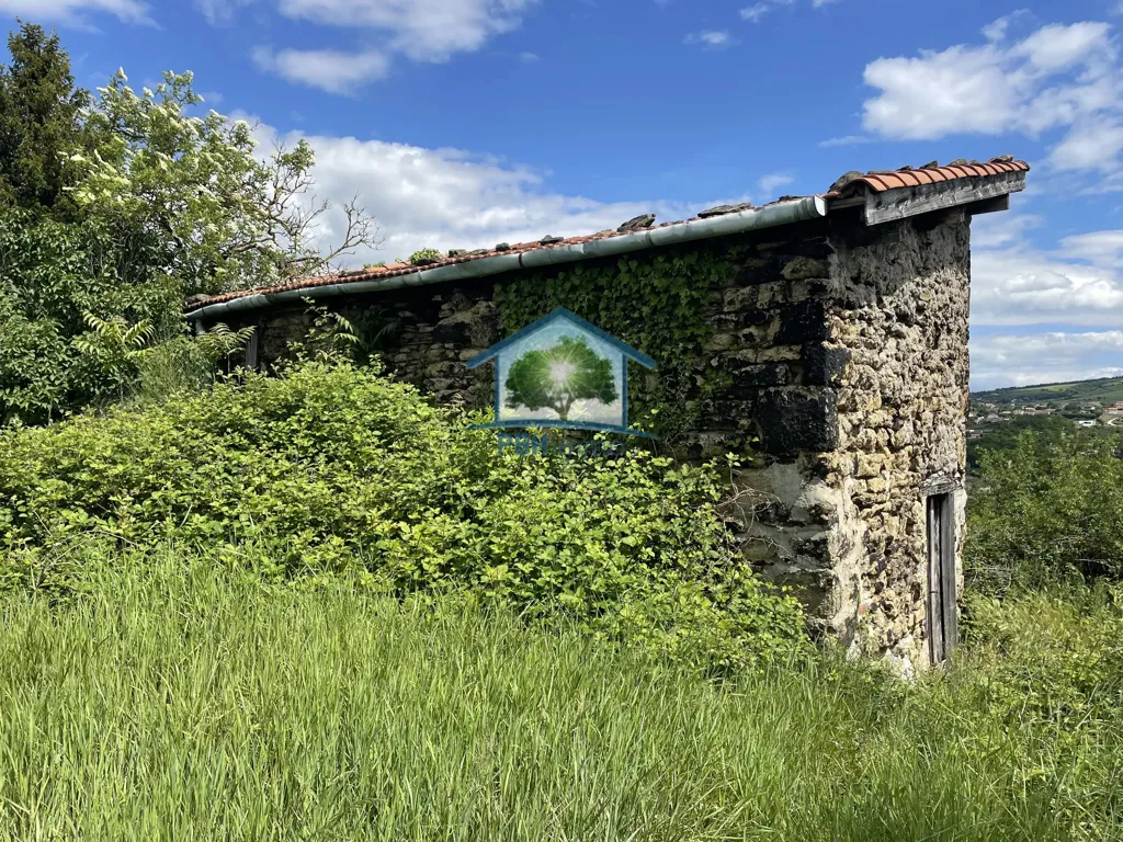 Välivaade - Rustic House with South Facing in Rive de Gier