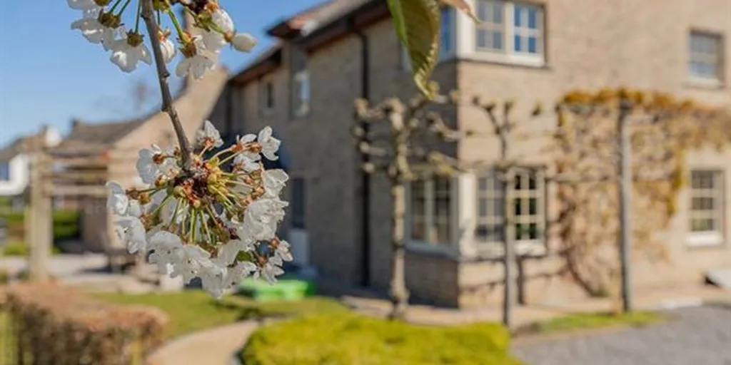 Extérieur - Villa avec Jardin et Vue sur les Prairies à Breendonk