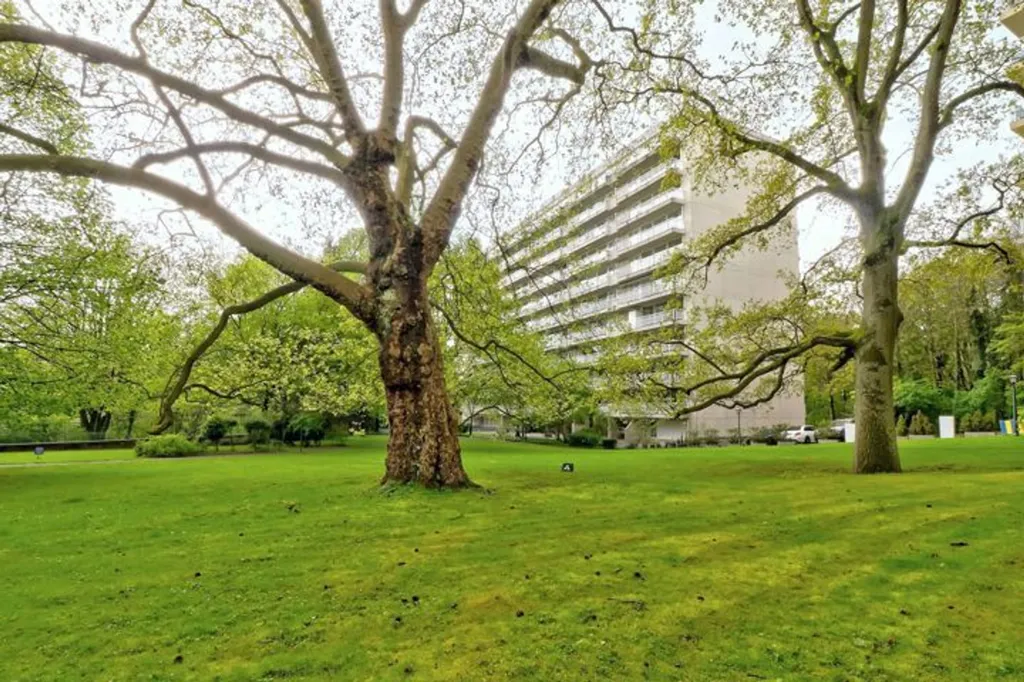 Jardin - Studio avec Piscine Commune près du Bois de la Cambre