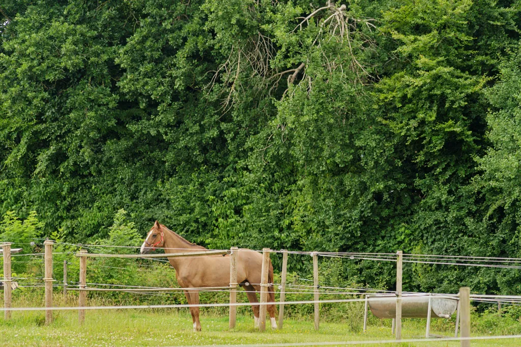 Jardin - Equestrian Estate with Spa in Vinding