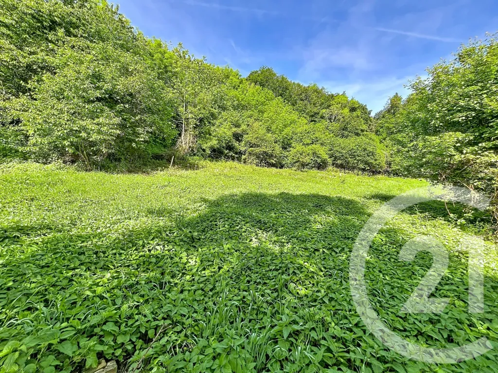 Jardin - Terrain Constructible avec Vue sur Nature à Retournac