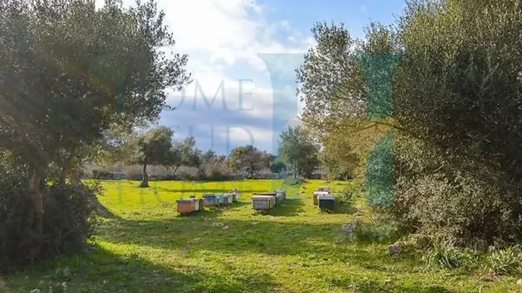 Jardin - Baglio-Style Property with Natural Views in Noto