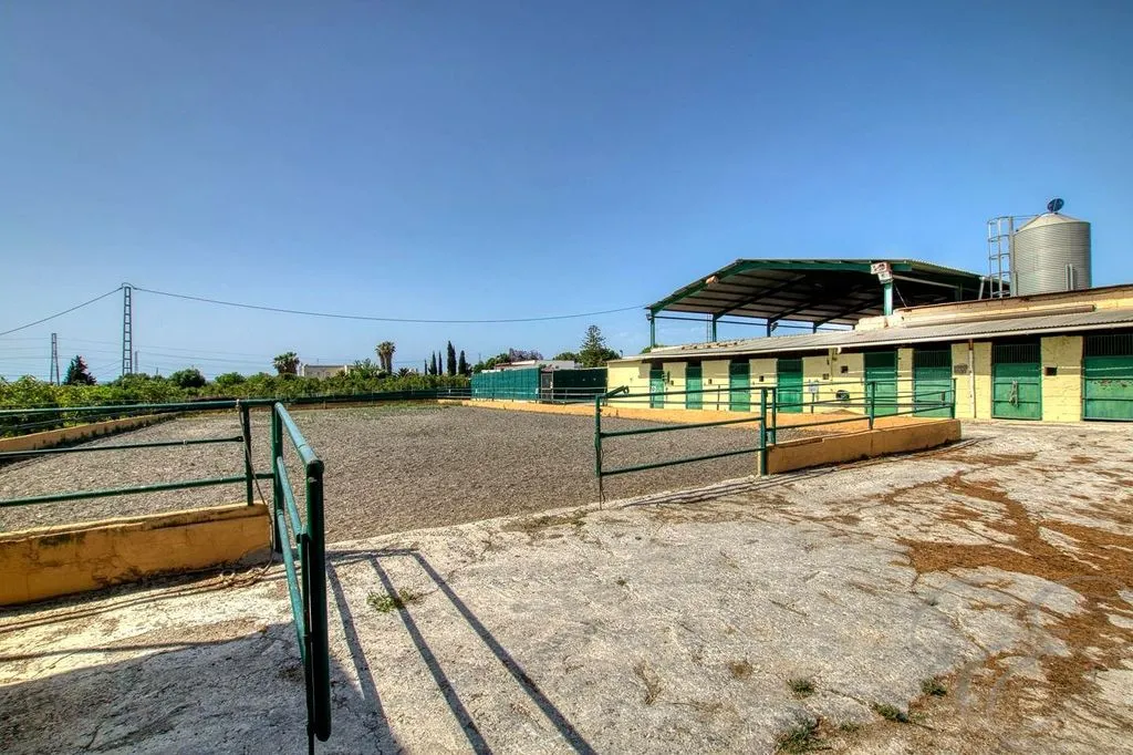 Välivaade - Equestrian Centre with Coastal Proximity in Torre del Mar