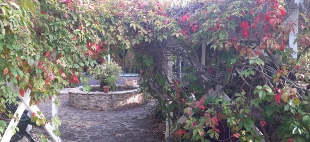 Jardin - Ensemble Maison + Restaurant avec Terrasse à Clermont-l'Hérault