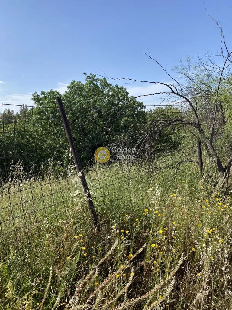 Jardin - Plot for Construction with Sea View in Nea Filadelfeia